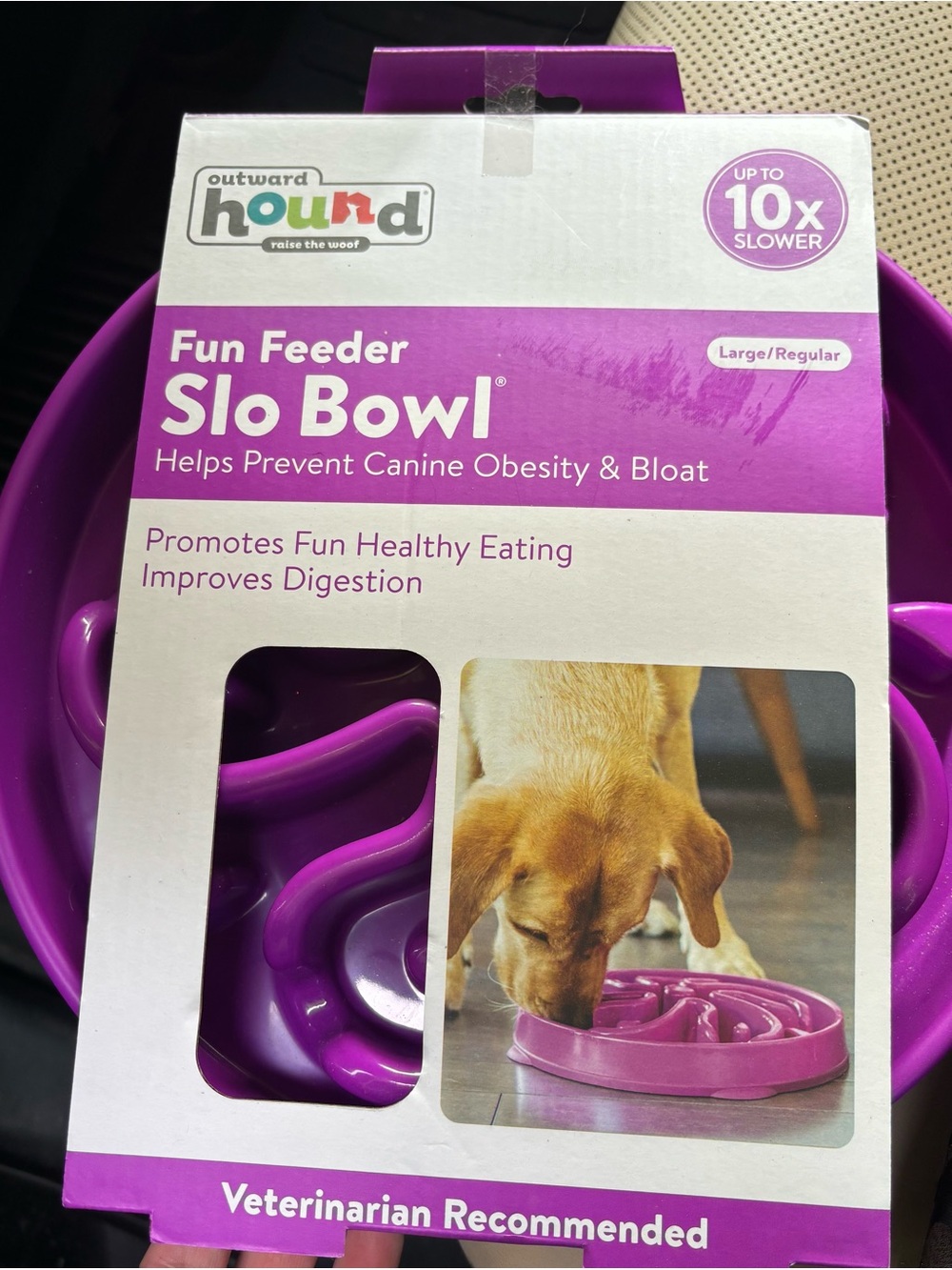 Outward Hound Purple Slow Feeder Dog Bowl - Interactive Maze Design
